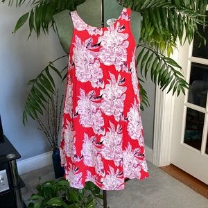 Cute, Sassy, Feminine ASTR Dress 3